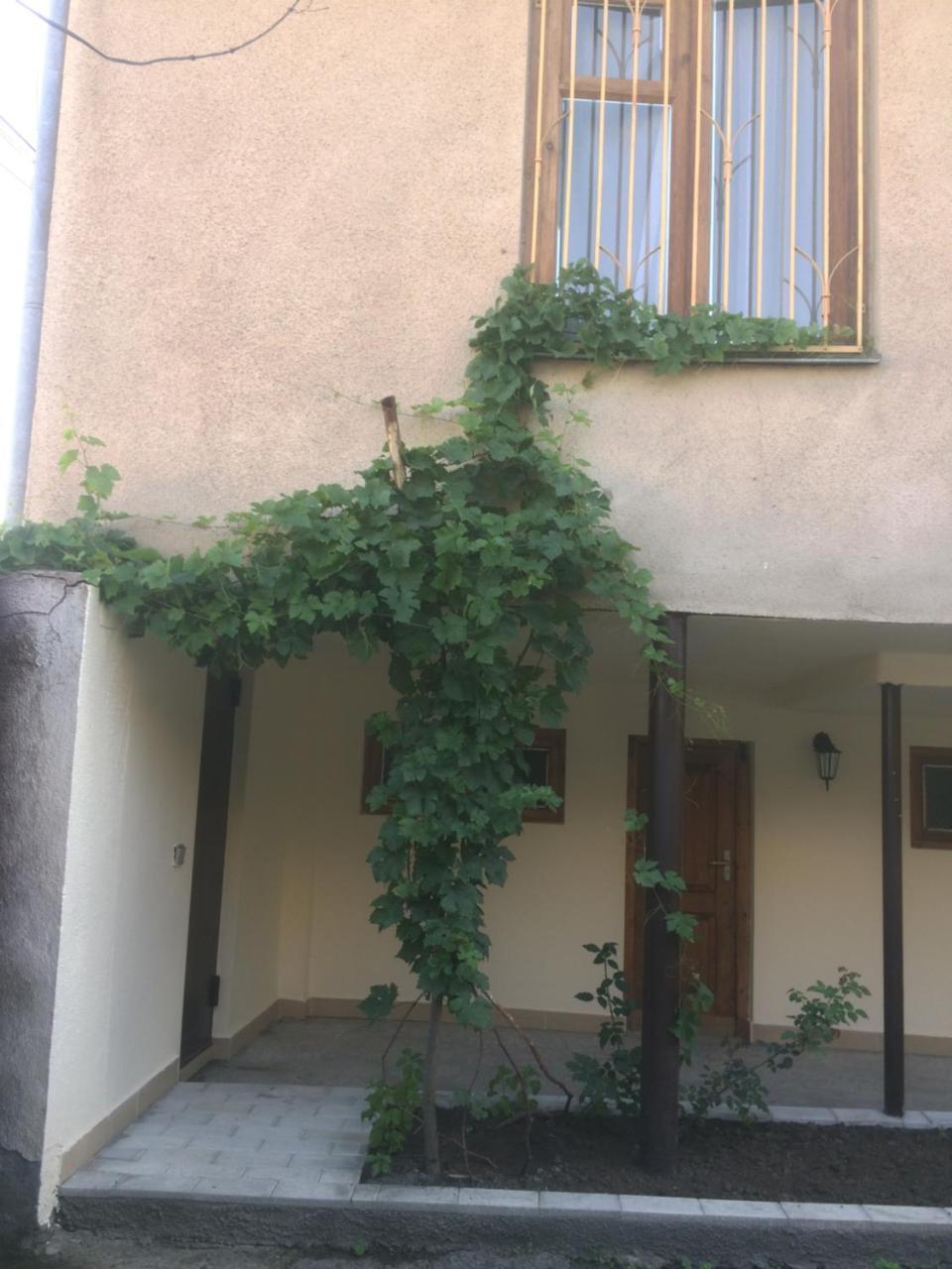 Guest House Kartuli Suli Tel Avi Exterior foto